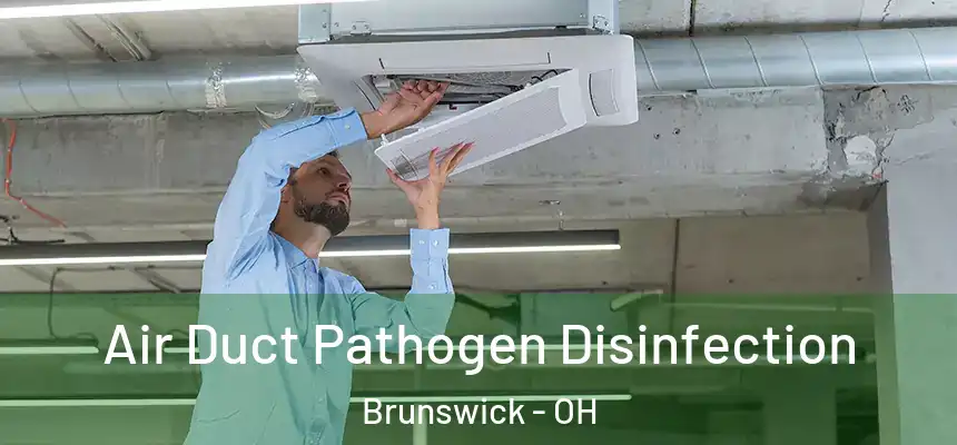  Air Duct Pathogen Disinfection Brunswick - OH