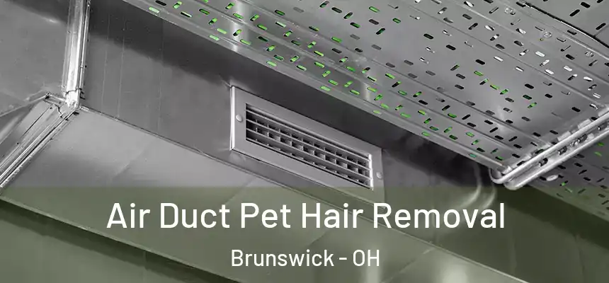 Air Duct Pet Hair Removal Brunswick - OH