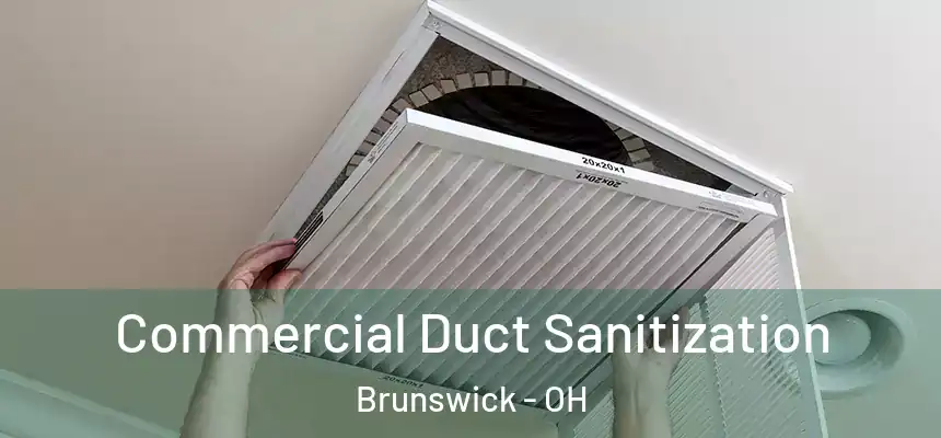 Commercial Duct Sanitization Brunswick - OH