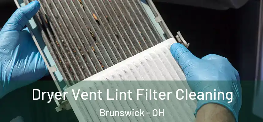 Dryer Vent Lint Filter Cleaning Brunswick - OH