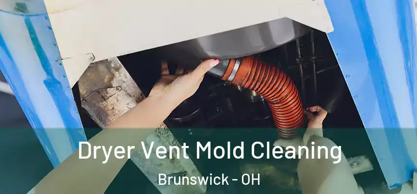 Dryer Vent Mold Cleaning Brunswick - OH