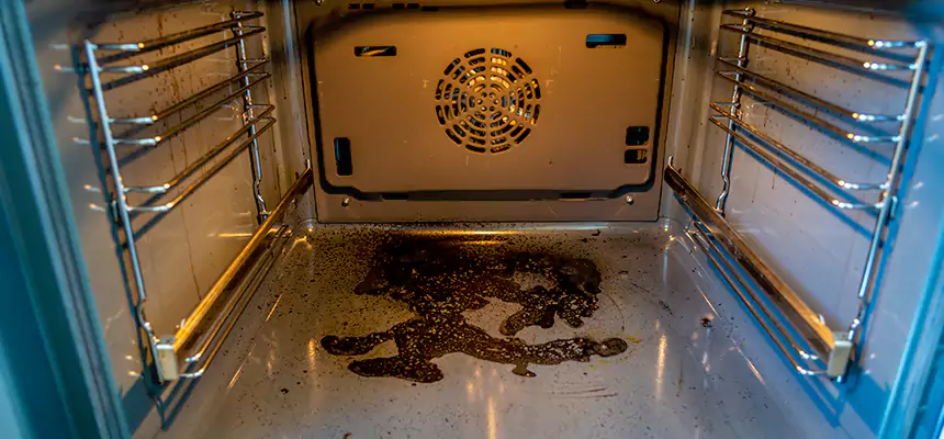 Our Dryer Vent Mold Cleaning Services in Brunswick, OH