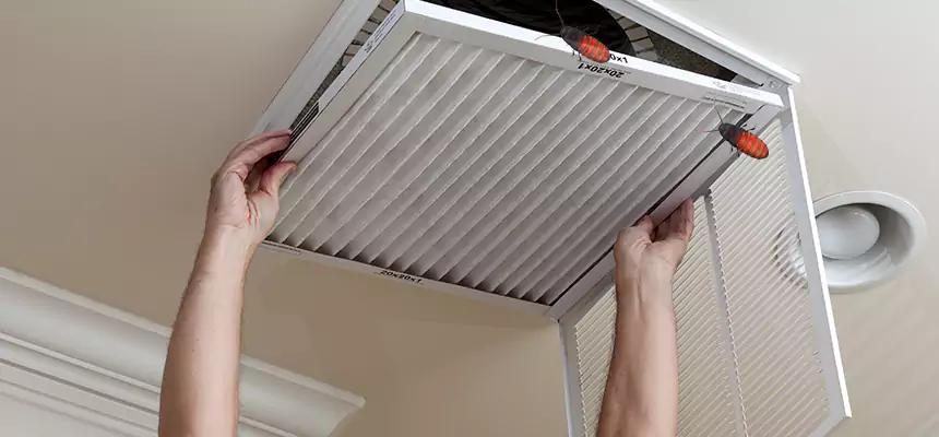 Our Insect Removal from Air Ducts Services in Brunswick, OH