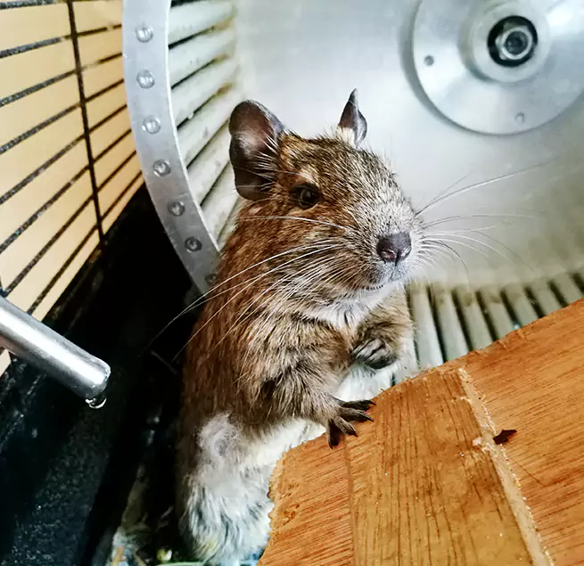 Why Homeowners & Businesses Trust Us Brunswick, OH?